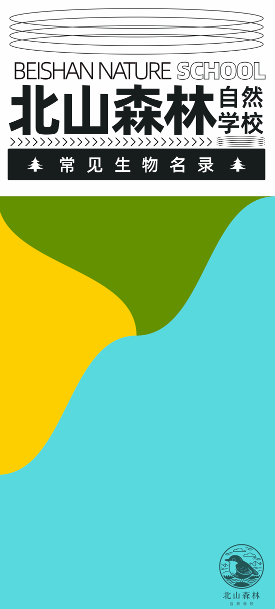 封面图-北山森林.png