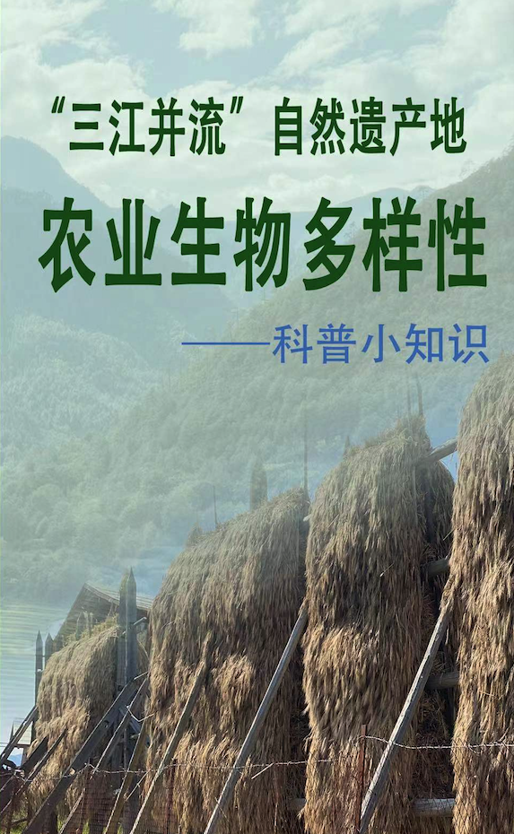 截屏2025-07-02 14.38.00.png