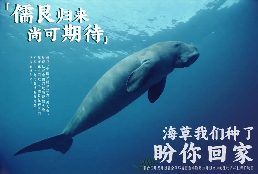 1761712932536170.png wps_doc_0.png