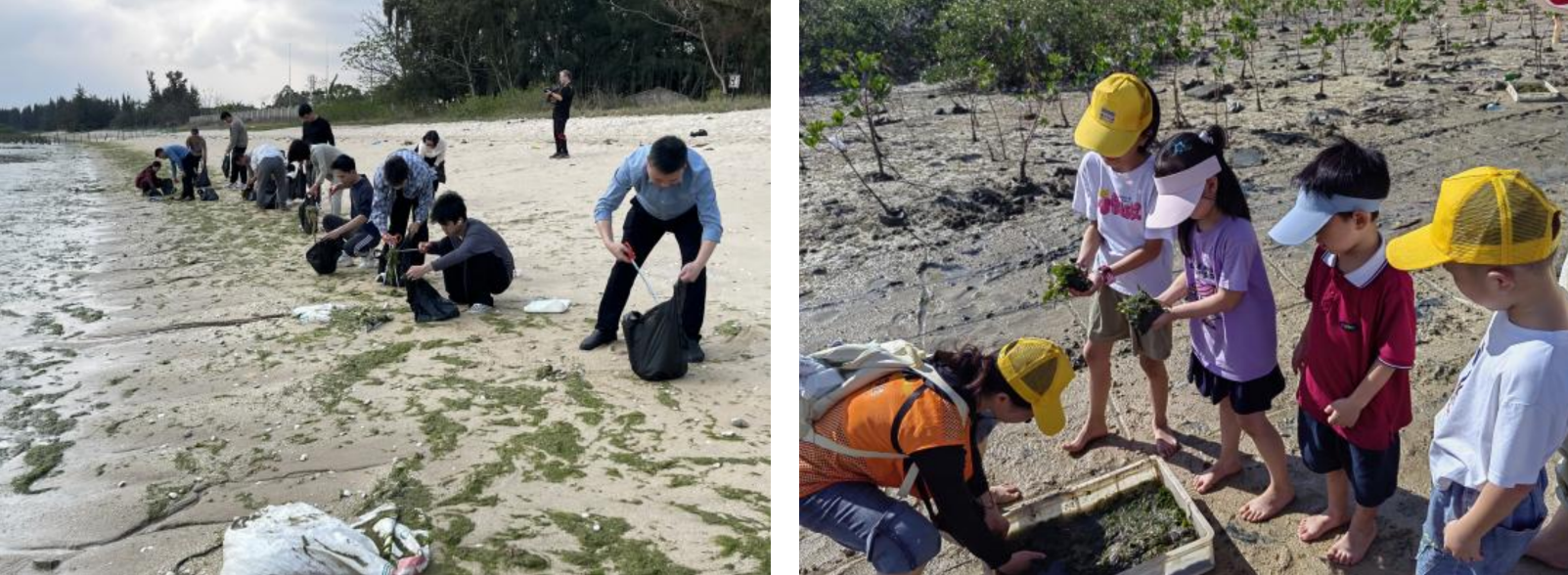 1761713529558528.png 截屏2025-10-29 12.29.29.png