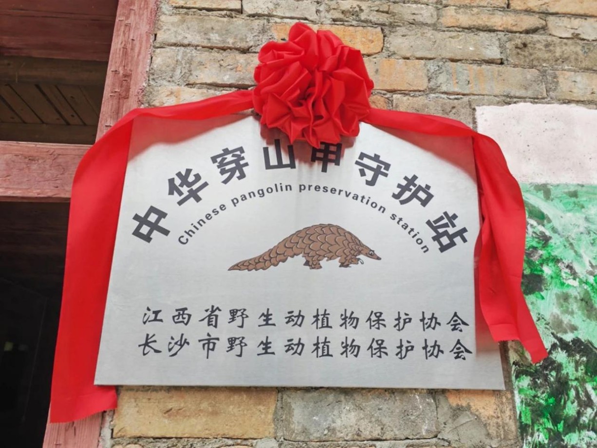 1765867972780060.jpg 图片4.jpg