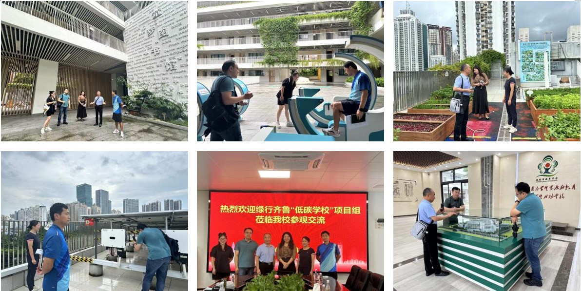 1775014879985676.jpg b1.jpg