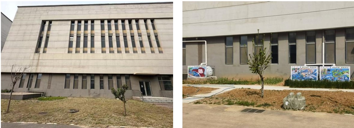 1775015068635546.jpg b4.jpg