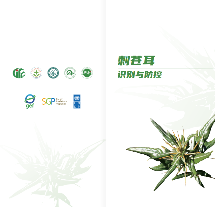 屏幕截图 2026-06-28 102736.png